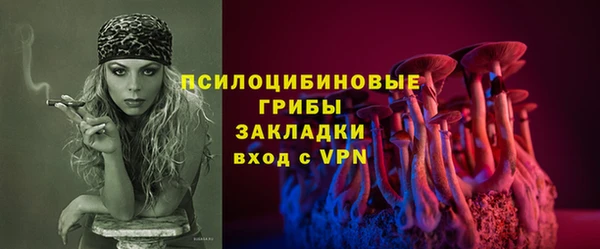 шишки Белокуриха