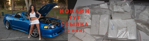 шишки Белокуриха