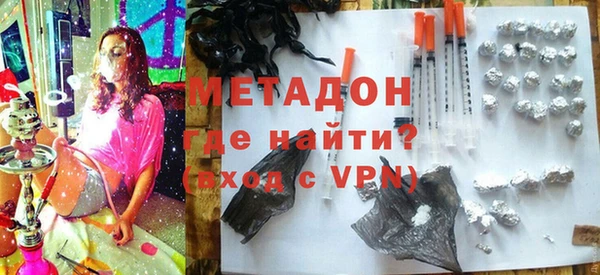 шишки Белокуриха