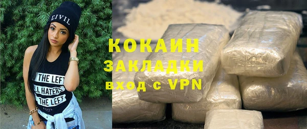 шишки Белокуриха