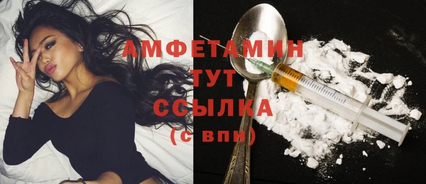шишки Белокуриха