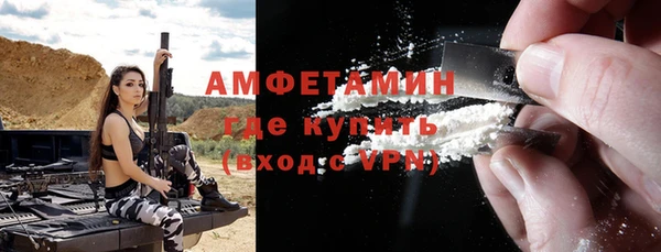 шишки Белокуриха