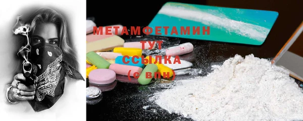 шишки Белокуриха